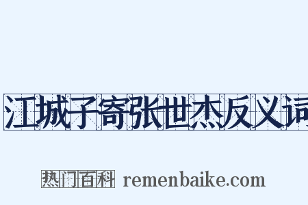 江城子寄张世杰反义词是什么意思的图片